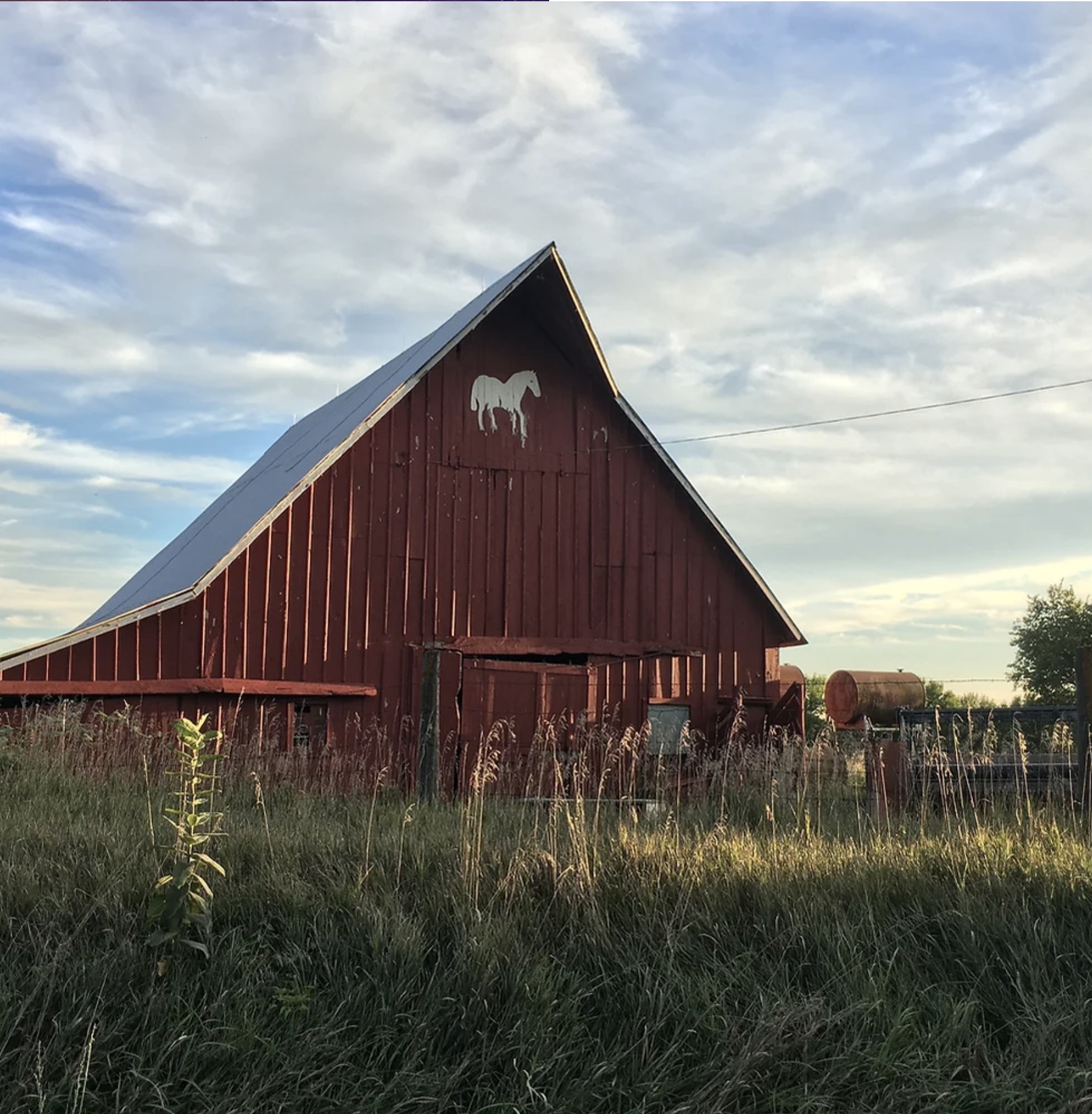 Red barn-like building in tall grass with fencing nearby